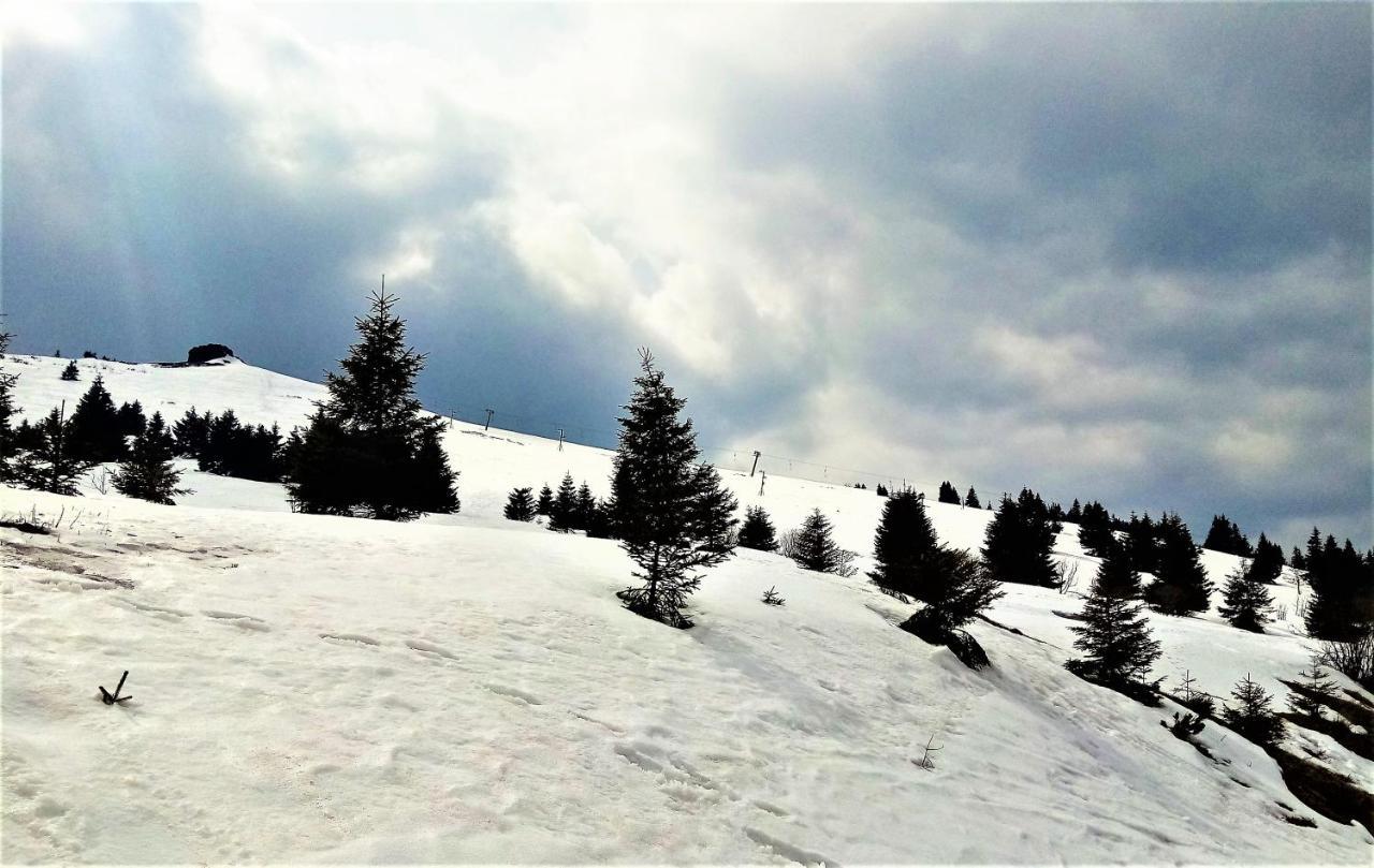 Chata Roubenka - Jesenka Dolni Moravice Bagian luar foto