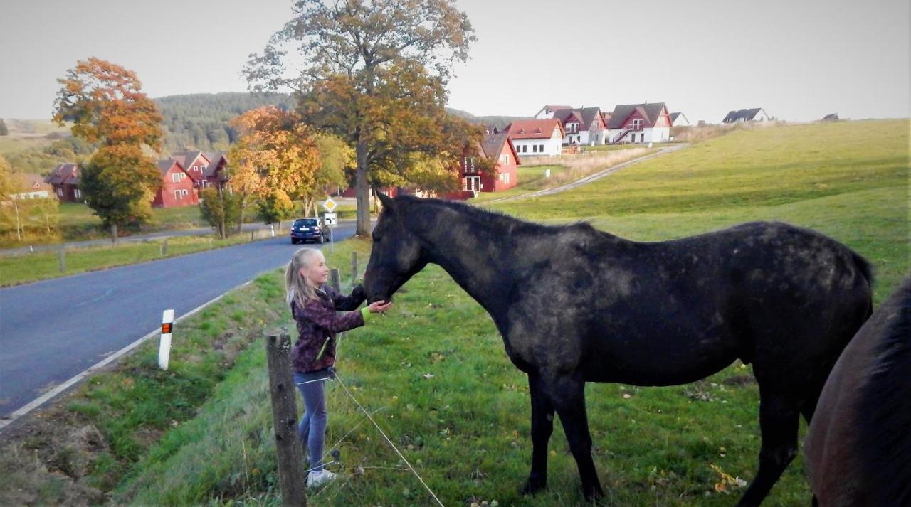 Chata Roubenka - Jesenka Dolni Moravice Bagian luar foto