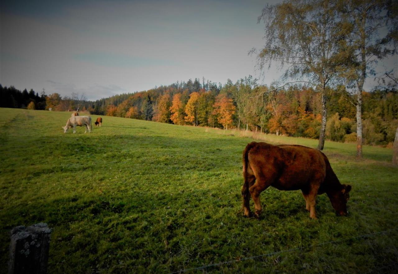 Chata Roubenka - Jesenka Dolni Moravice Bagian luar foto